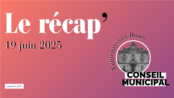 conseil municipal du 19 juin&nbsp;2025