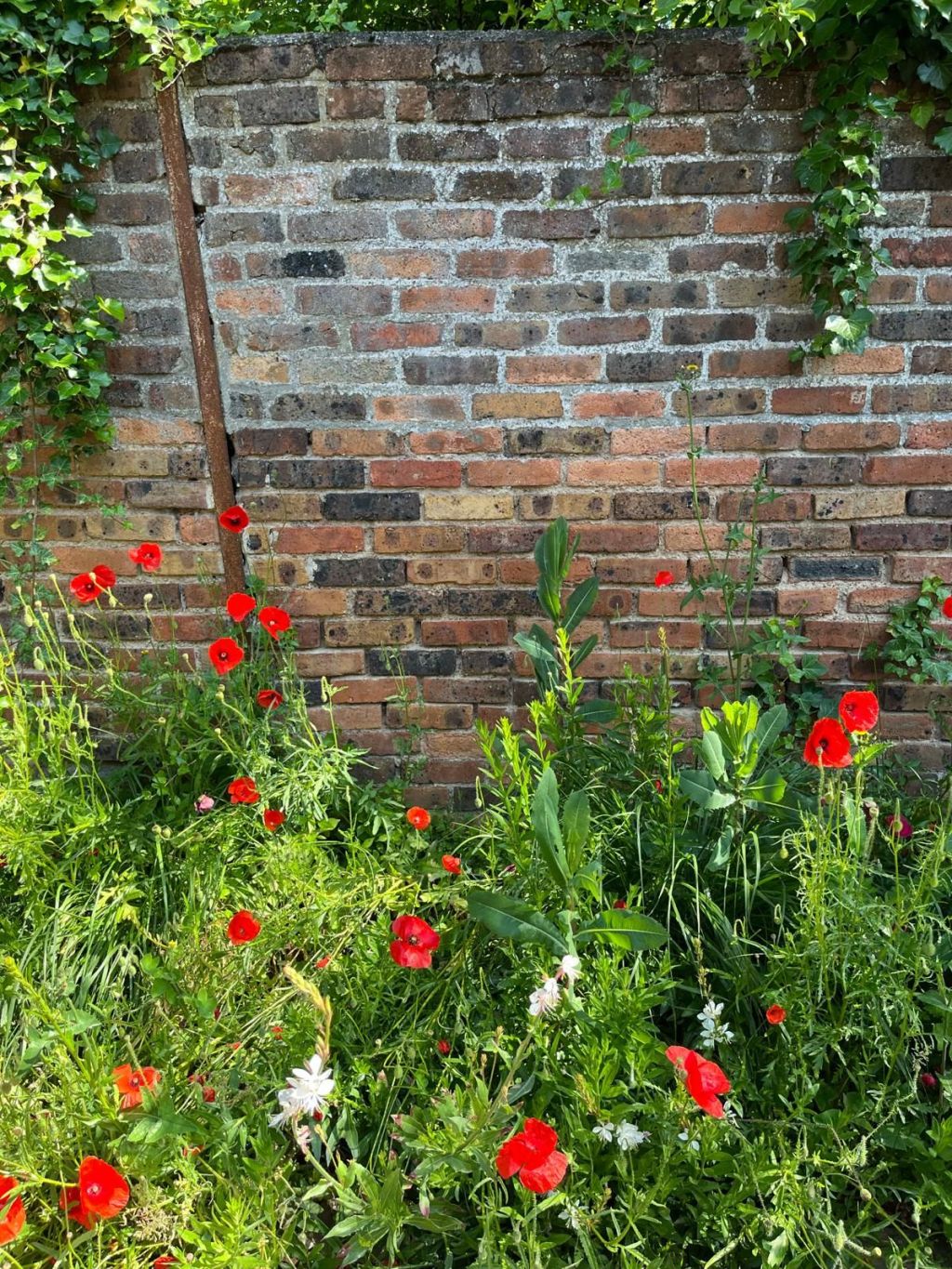 La transition vue par les candidats aux municipales 2026 de Fontenay-aux-Roses